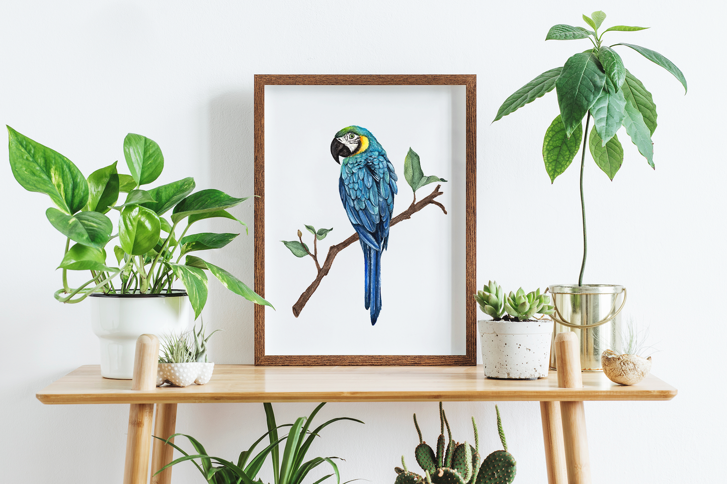 Macaw Parrot - Watercolor Print