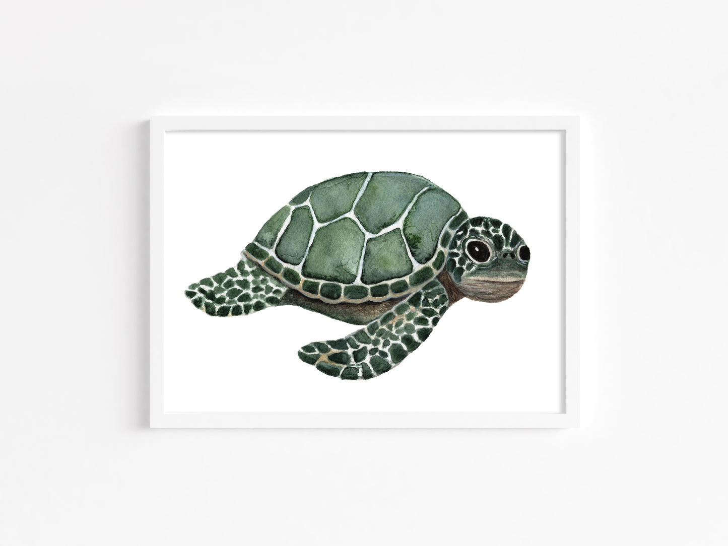 Baby Sea Turtle - Watercolor Print