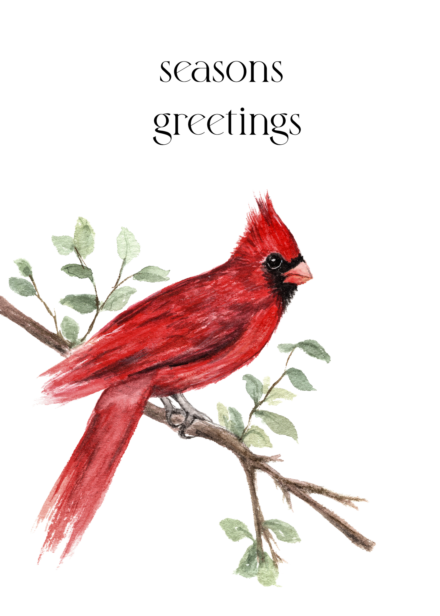 Greeting Card Packs