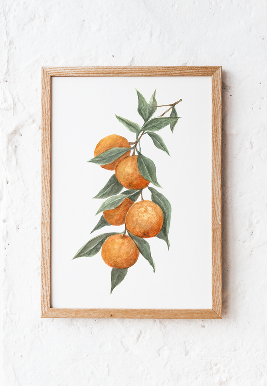 Clementine Branch - Watercolor Print
