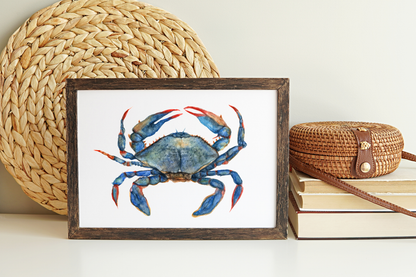 Blue Crab - Watercolor Print