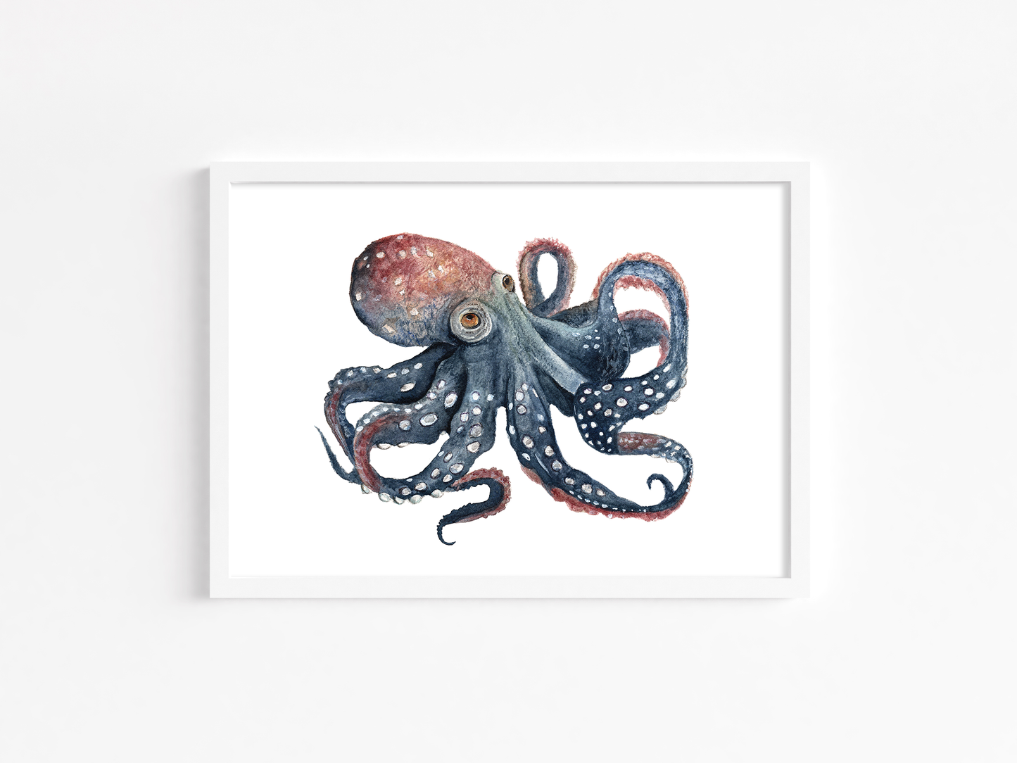 Octopus Watercolor Print