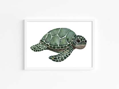 Baby Sea Turtle - Watercolor Print
