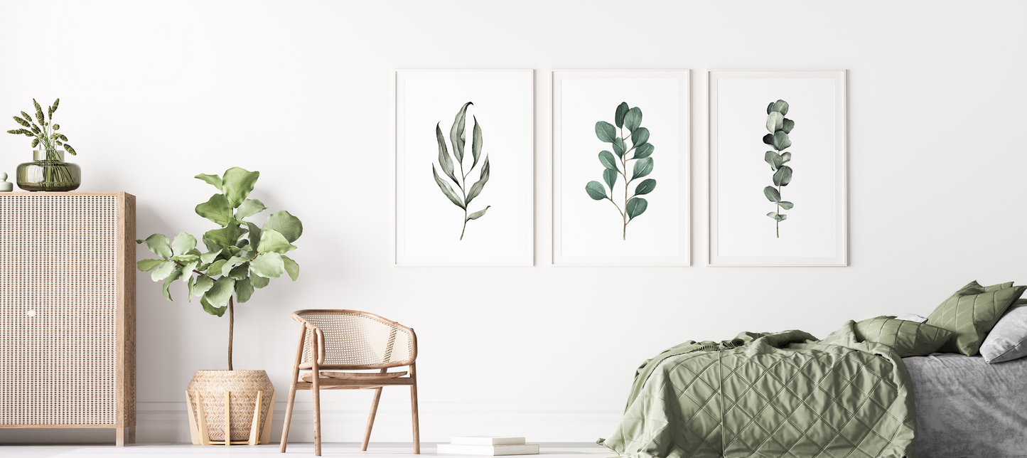 Eucalyptus Leaves - 3 Piece Set - Watercolor Prints