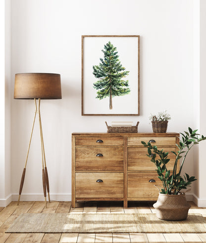 Pine Tree - Watercolor Print