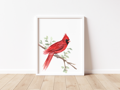 Red Cardinal - Watercolor Print