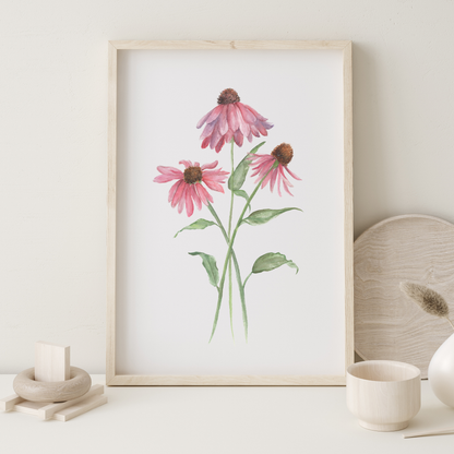 Coneflower - Watercolor Print