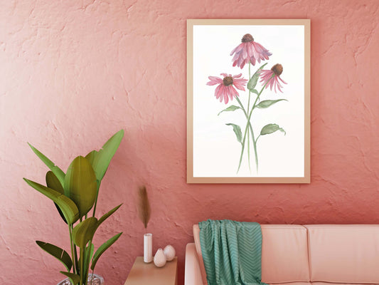 Coneflower - Watercolor Print