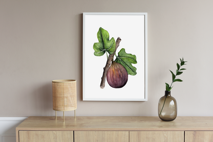 Fig Watercolor Print