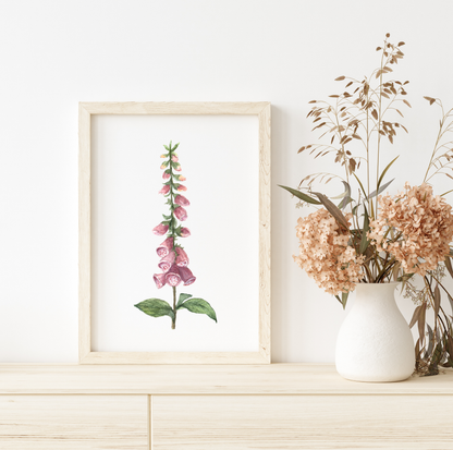 Foxglove Stem - Watercolor Print