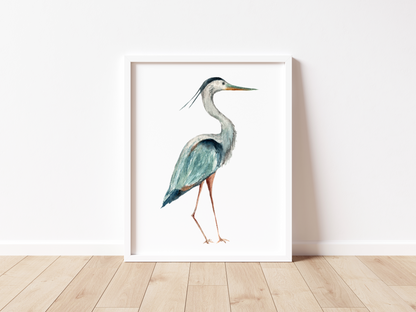 Coastal Blue Heron - Watercolor Print