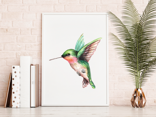 Hummingbird - Watercolor Print