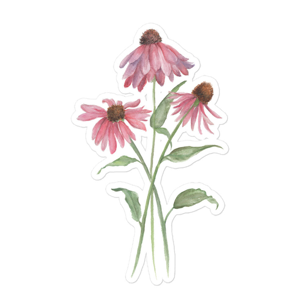 Coneflower Sticker