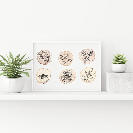 Botanical Line Art | Watercolor Prints