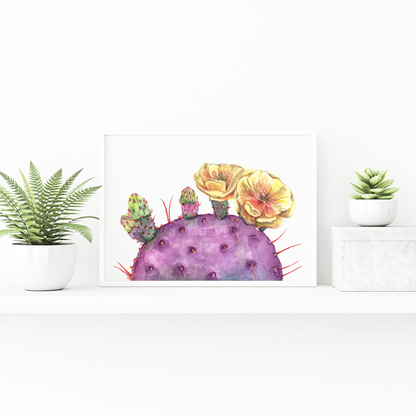 Purple Prickly Pear Cactus Watercolor Print