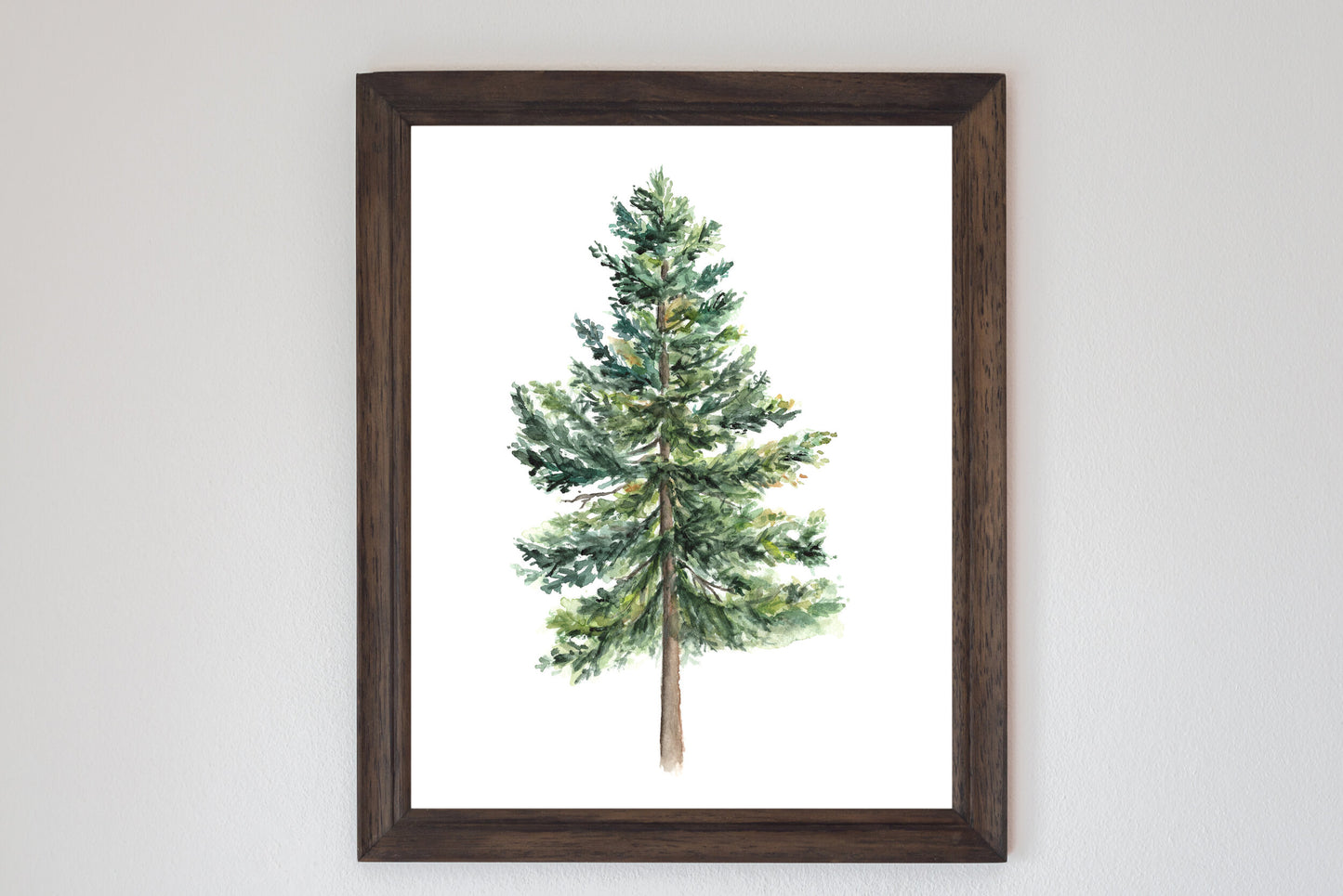 Pine Tree - Watercolor Print