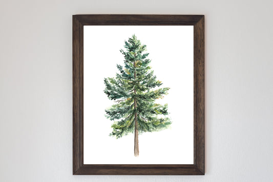 Pine Tree - Watercolor Print
